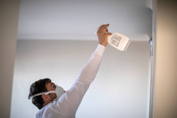 Best Affordable Mold Removal  in New Deal, TX