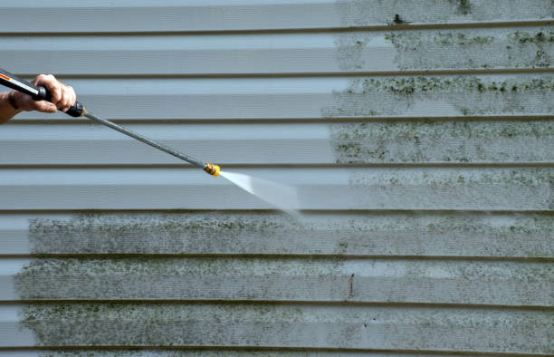 Professional Mold Removal in New Deal, TX