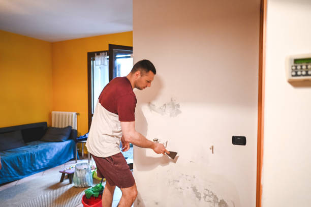 Best Mold Removal and Inspection  in New Deal, TX