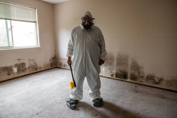 Best Mold Cleaning Services  in New Deal, TX